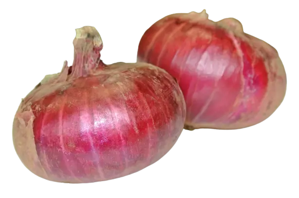 vb010
